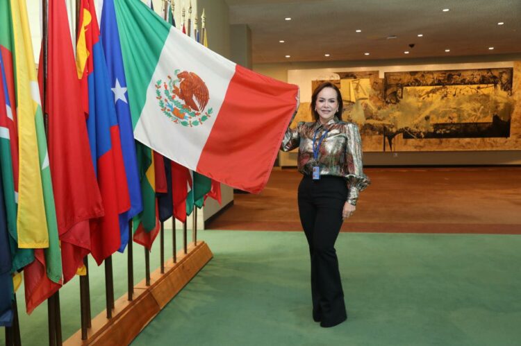 Carmen Lilia Canturosas representa a México en la ONU. Foto de Carmen Lilia Canturosas