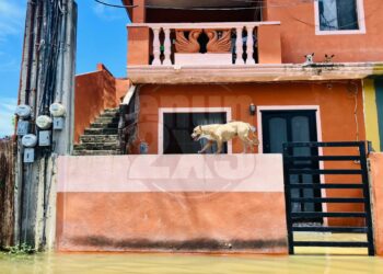 Coepris inicia trabajos de saneamiento tras paso de Barry. Foto de Tania Villanueva/ EnUn2x3