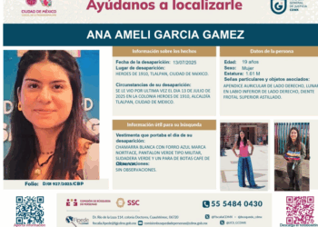 FICHA DE BÚSQUEDA AMELÍ