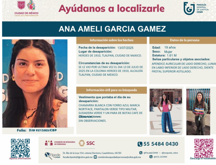 FICHA DE BÚSQUEDA AMELÍ