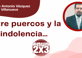 Por Marco Antonio Vázquez Villanueva | Entre puercos y la indolencia…