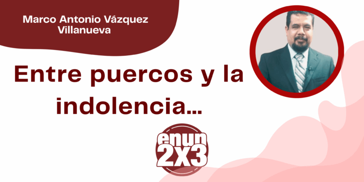 Por Marco Antonio Vázquez Villanueva | Entre puercos y la indolencia…