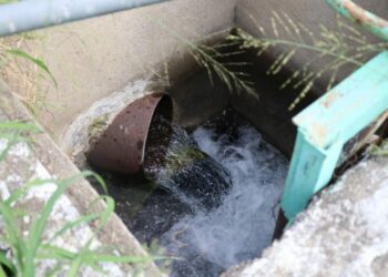 Supervisa alcalde de Victoria los manantiales de La Peñita