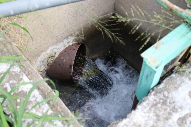 Supervisa alcalde de Victoria los manantiales de La Peñita