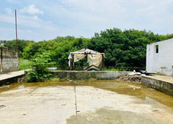 Barry superó en afectaciones a Alberto: AVA