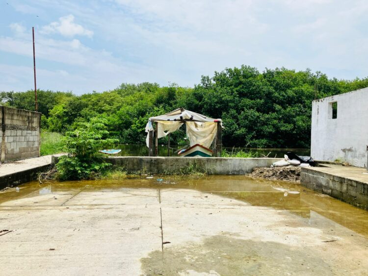 Barry superó en afectaciones a Alberto: AVA