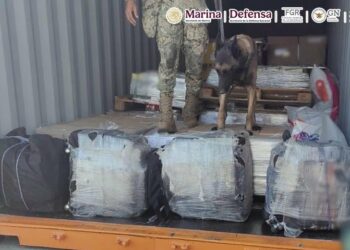 Incautación de cocaína en Ensenada, Baja California