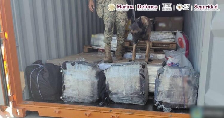 Incautación de cocaína en Ensenada, Baja California