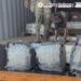 Incautación de cocaína en Ensenada, Baja California