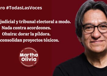 Reforma judicial y tribunal electoral a modo