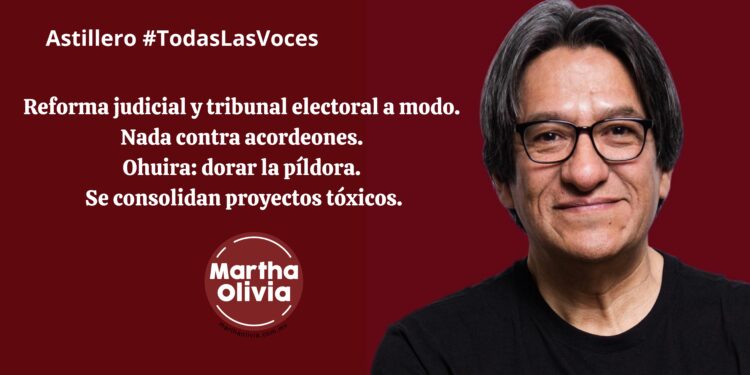 Reforma judicial y tribunal electoral a modo