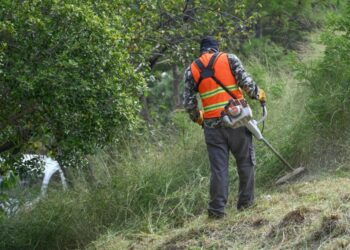 Recupera Ayuntamiento área verde para fortalecer convivencia social