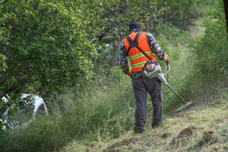 Recupera Ayuntamiento área verde para fortalecer convivencia social
