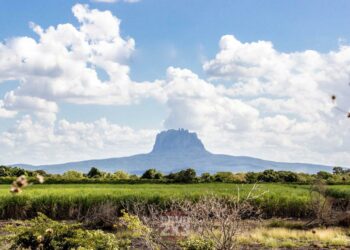 Tamaulipas por encima de la media nacional en ingreso mensual: Inegi. Foto de Jiroko Nakamura para EnUn2x3