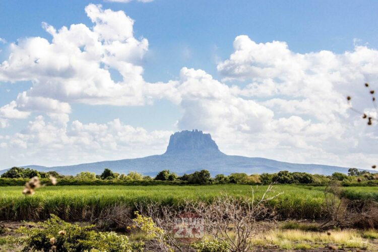 Tamaulipas por encima de la media nacional en ingreso mensual: Inegi. Foto de Jiroko Nakamura para EnUn2x3