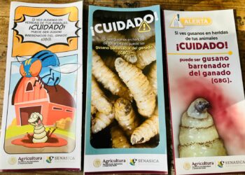 Piden vigilar heridas de mascotas domésticas por gusano barrenador. Foto de Tania Villanueva/EnUn2x3