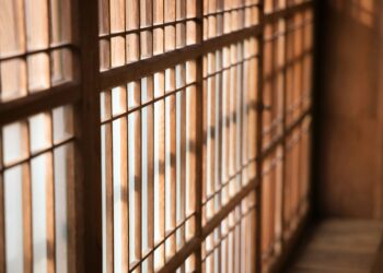 Confirman traslado de 26 personas vinculadas a organizaciones criminales a EE.UU. Foto de Unsplash