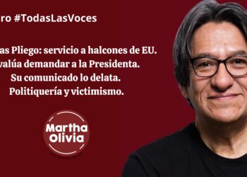 Salinas Pliego: servicio a halcones de Estados Unidos