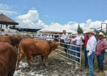 Reitera Gobierno del Estado su compromiso con el sector ganadero
