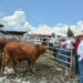 Reitera Gobierno del Estado su compromiso con el sector ganadero