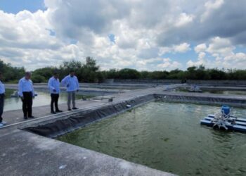 Avanza Universidad Tecnológica del Mar en infraestructura, equipamiento y oferta académica