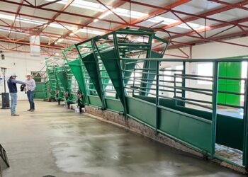 Ganaderos contemplan construcción de estación cuarentenaria en Matamoros. Foto de Gobierno de México