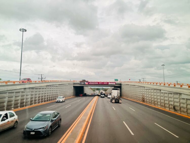 Tamaulipas tendrá licencia digital. Foto de EnUn2x3