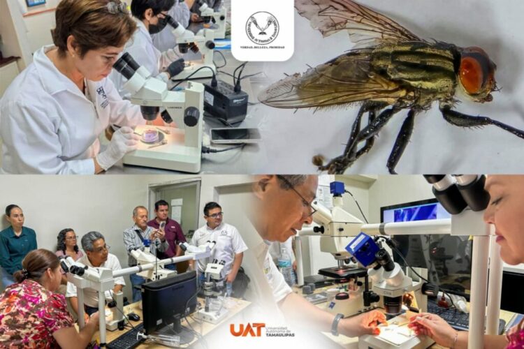 Colabora Facultad de Veterinaria de la UAT en acciones de prevención al gusano barrenador del ganado en Tamaulipas