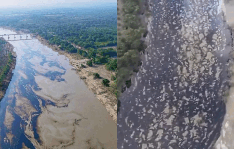 Confirman derrame de hidrocarburo en río Pantepec; activan plan de limpieza. Foto tomada de video