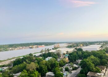 Zonas susceptibles de inundación. Foto de Tania Villanueva/MarthaOlivia.com.mx