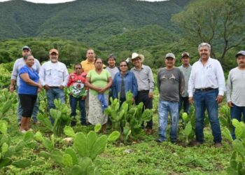 Impulsan buenas prácticas agrícolas en Gómez Farías, Llera y Xicoténcatl