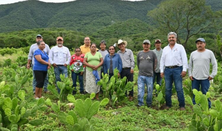 Impulsan buenas prácticas agrícolas en Gómez Farías, Llera y Xicoténcatl