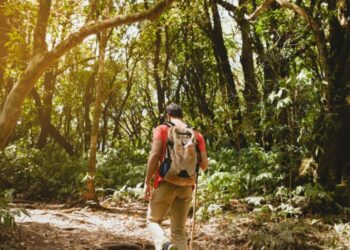 Ofrece Sectur capacitación para garantizar seguridad en actividades de turismo de aventura