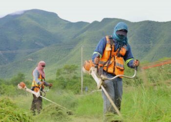 Supervisa alcalde trabajos de limpieza en vialidades