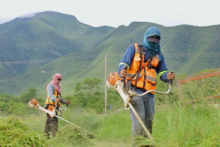 Supervisa alcalde trabajos de limpieza en vialidades