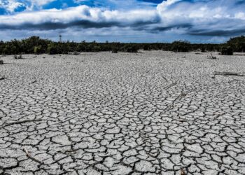 Escasez de agua en la frontera norte de Tamaulipas afecta cultivos. Foto de Elizabeth Ruiz/Cuartoscuro