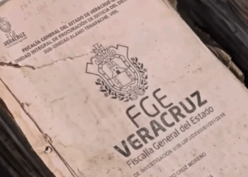 Cientos de expedientes de la Fiscalía de Veracruz, secados al sol tras inundaciones. Foto tomada de video