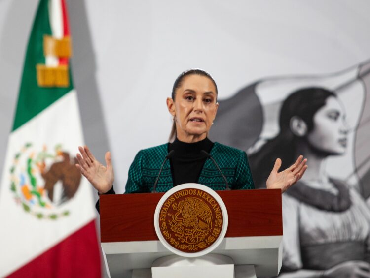 PT Tamaulipas respalda estrategia federal de seguridad; rechaza utilización política de tragedia en Michoacán. Foto de Andrea Murcia/Cuartoscuro