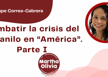 Por Guadalupe Correa - Cabrera | Combatir la crisis del fentanilo en “América”. Parte I