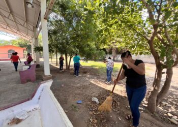 Programa de empleo temporal beneficia a mil 400 personas en Tamaulipas