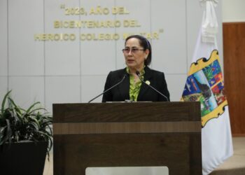 Diputada Local Francisca Castro Armenta | Foto de la Web