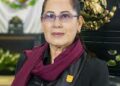 Diputada Local Francisca Castro Armenta | Foto de la Web
