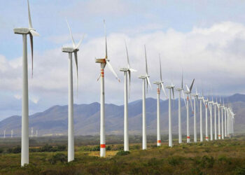 CFE analiza instalación de parques eólicos en Tamaulipas. Foto Web