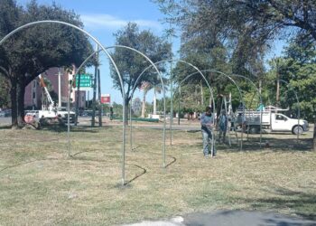 Embellece Municipio la Capital para temporada navideña