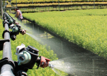 Retomarán en 2026 proyecto para que agua tratada de NL sea enviada a Tamaulipas. Foto de Gobierno de México