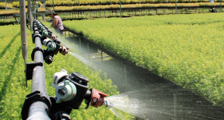 Retomarán en 2026 proyecto para que agua tratada de NL sea enviada a Tamaulipas. Foto de Gobierno de México