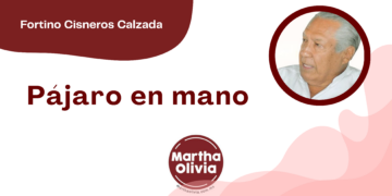 Por Fortino Cisneros Calzada | Pájaro en mano