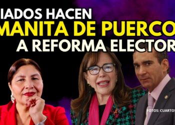 PT y PVEM marcan su distancia con reforma electoral de Sheinbaum