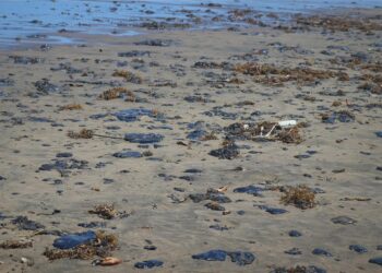 Activa Tamaulipas medidas preventivas ante derrame en Veracruz. Foto de Cuartoscuro