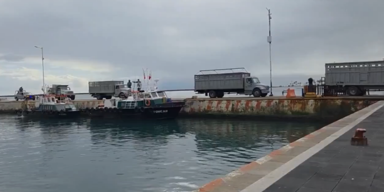 "México está ahí siempre presente para evitar cualquier conflicto": Sheinbaum en caso de EE.UU. y Cuba. Foto tomada de video
